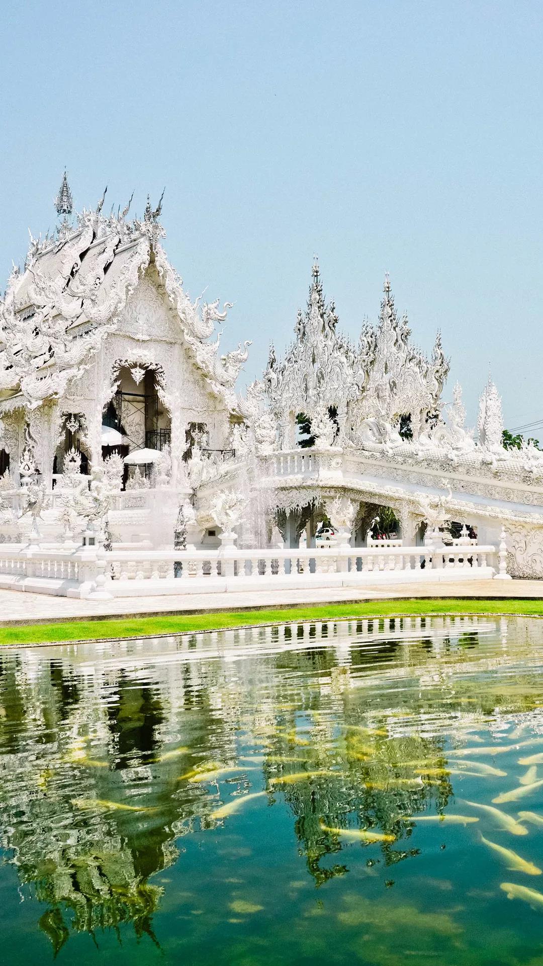 缓解眼睛疲劳动态图壁纸,好看的手机壁纸护眼高清图文