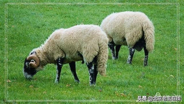 英国湖区景点排行榜,英国旅游推荐海边旅游景点