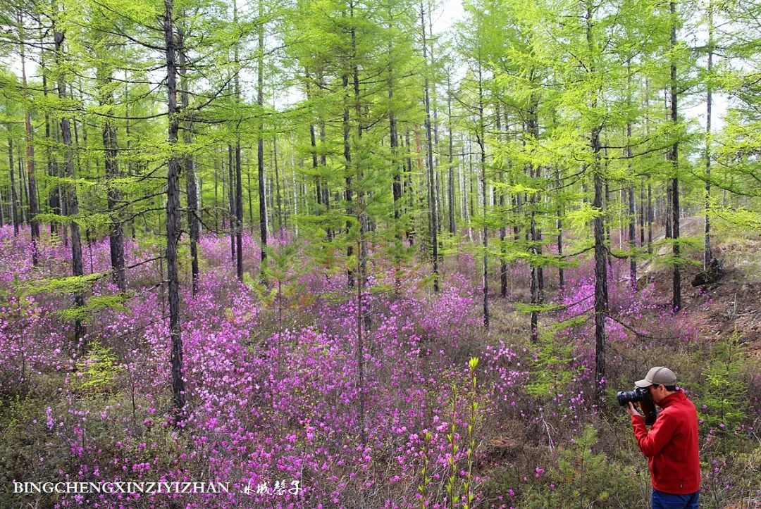 寻找中国最美的春季,探寻中国最美秘境