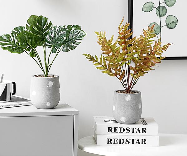 欧美风植物,极简现代风仿真植物