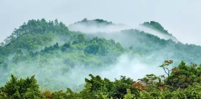 惠阳有多大,惠阳有多少镇