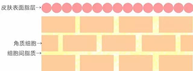 一次水光针相当于敷了1000次面膜,一次水光针等于10次补水