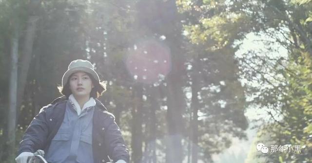 治愈系小森林图片,小森林日式小清新