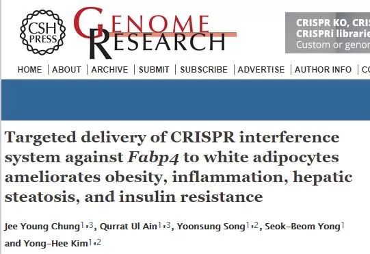 胖子们的福音？韩国科学家用“上帝的手术刀”切下了——肥肉