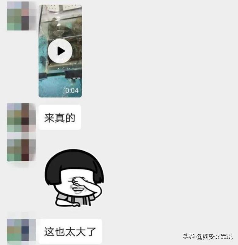 变着法处罚员工？生吃蚯蚓、喝厕所水、跪地爬行