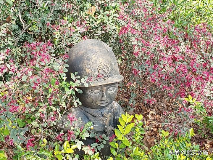 lgg8最大缺点,lgg8深度解析