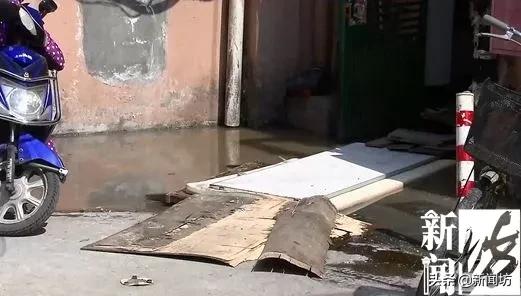 练水上漂，踏“梅花桩”，上海一小区居民出个门太难了