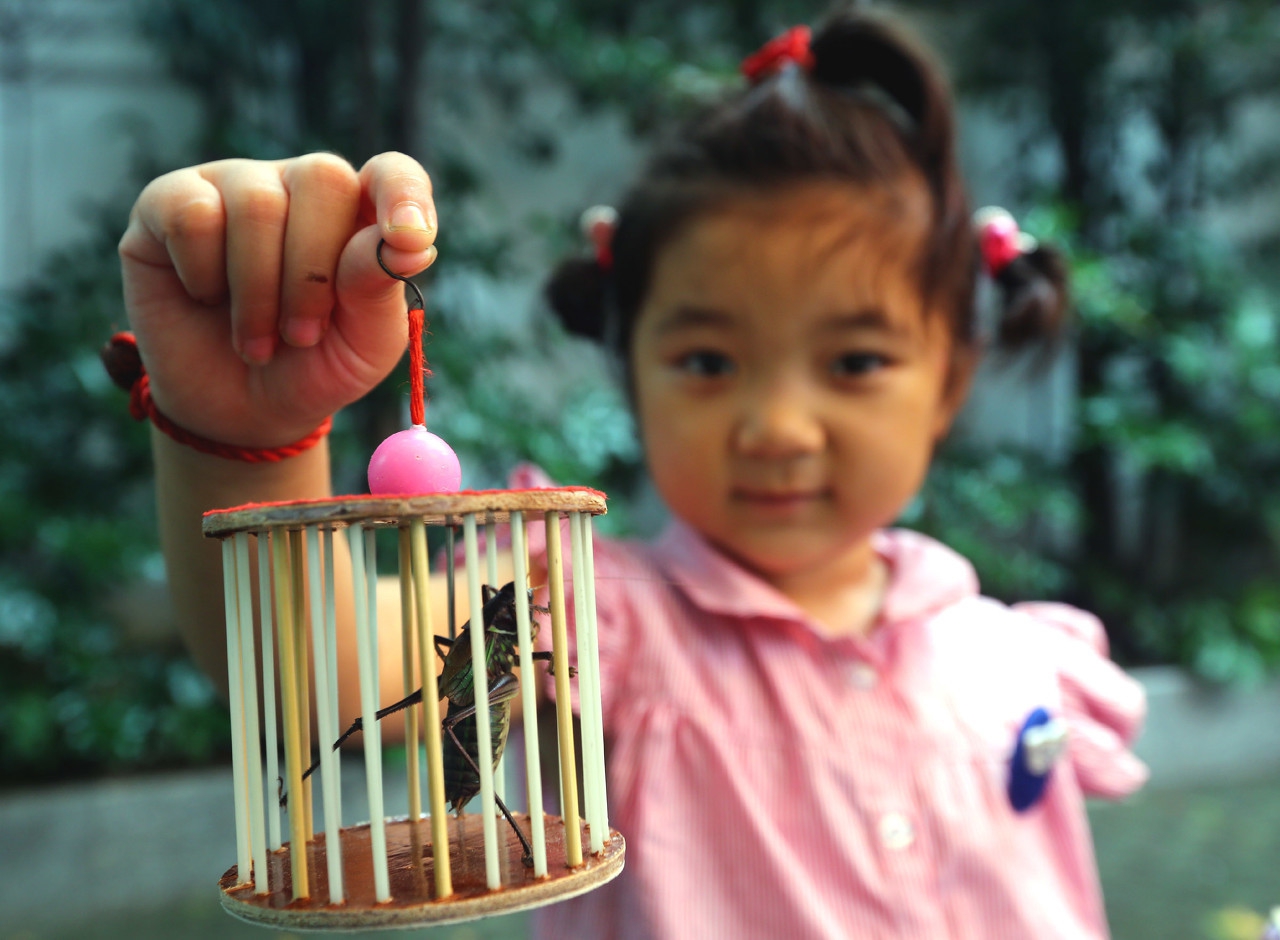 关于养玩蝈蝈五十个经典问题