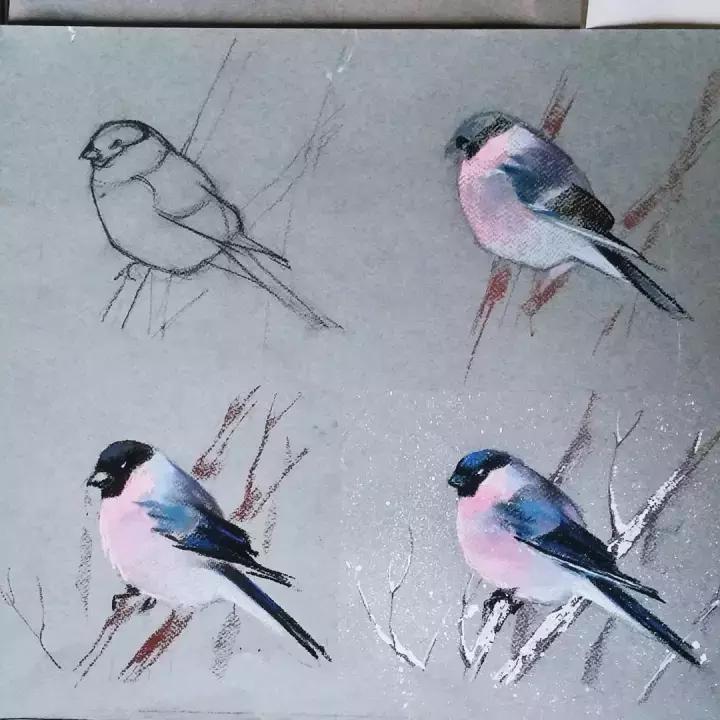 色粉笔技法,色粉笔怎么调各种颜色