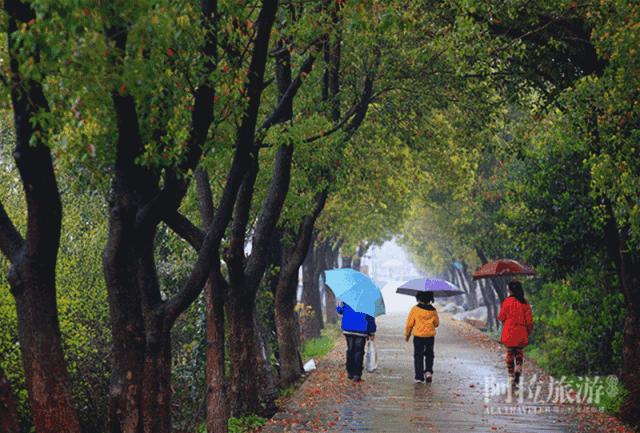 宁波网红游乐推荐,宁波室外十大网红游乐项目