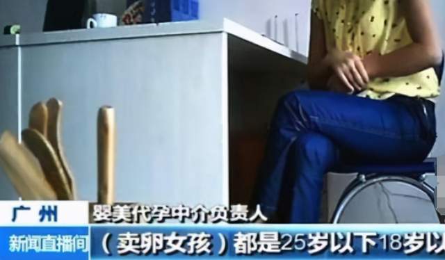 一颗卵子值100,卵子捐卵