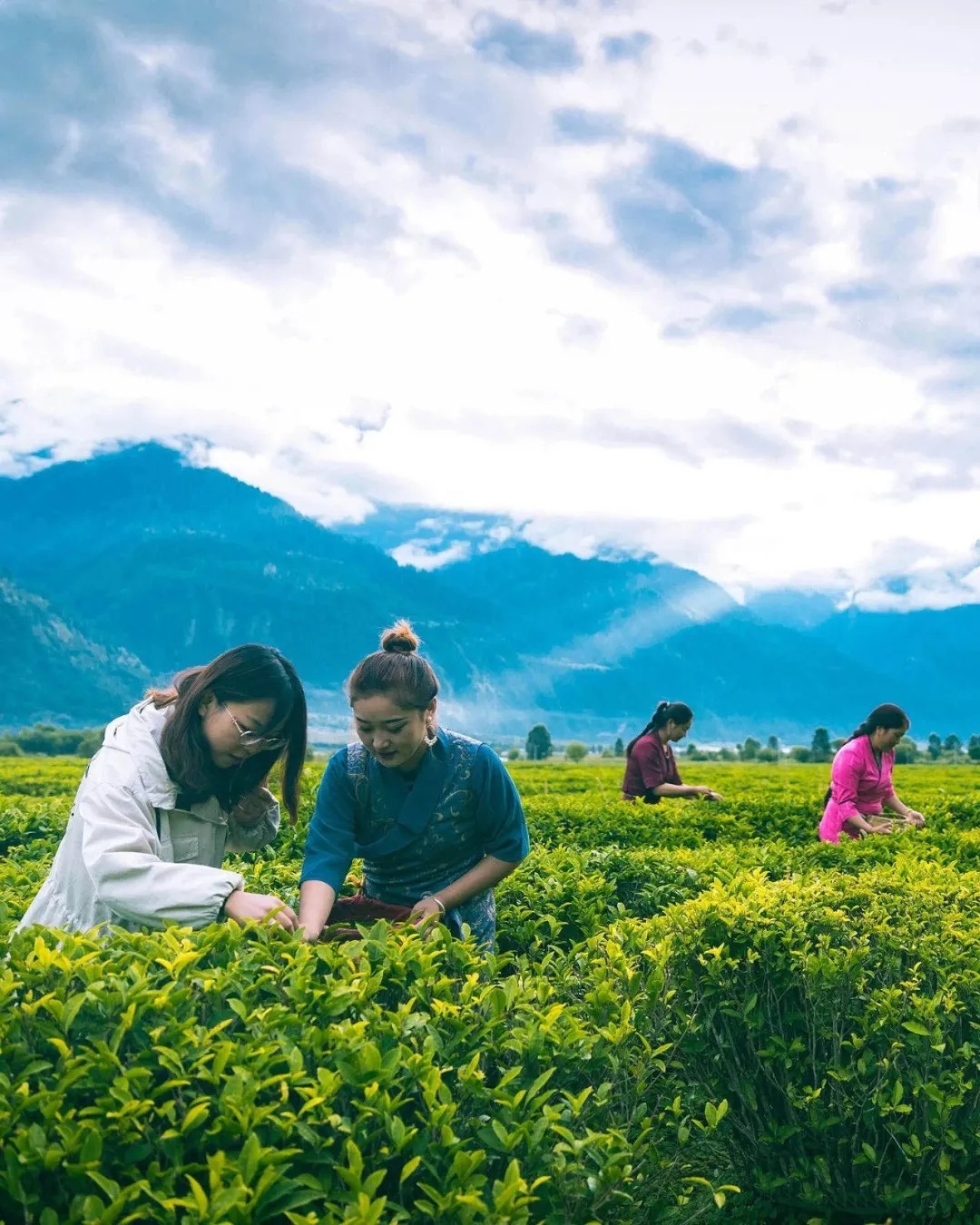 波密到鲁朗细雨蒙蒙,波密到林芝冰川