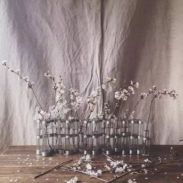 买回来的一束花如何插花,下班路上买一束花然后试着插花