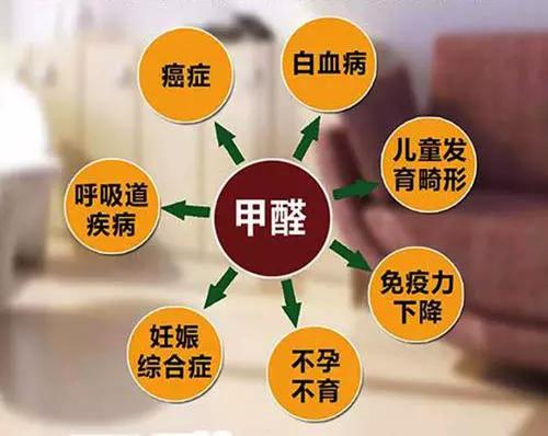 日本除甲醛豆子,日本甲醛清除剂真的有效吗