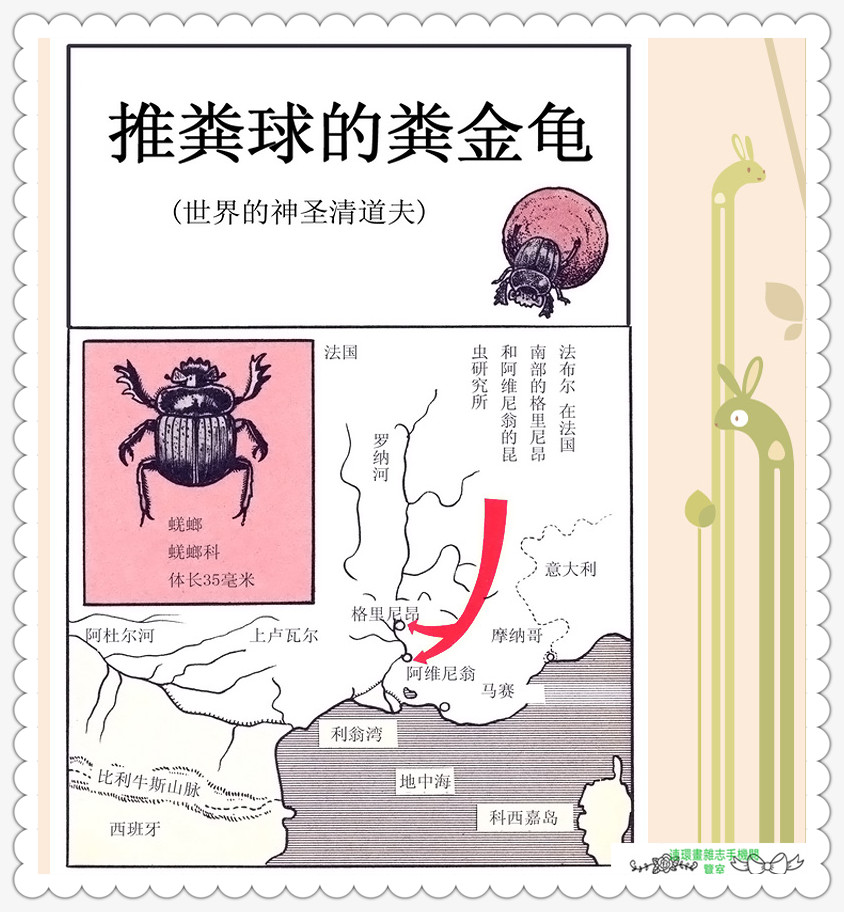 昆虫记法布尔动画片,昆虫记法布尔全套