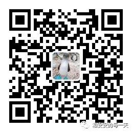 总裁夫人和顶级网红的争夫大赛,总裁夫人对战网红