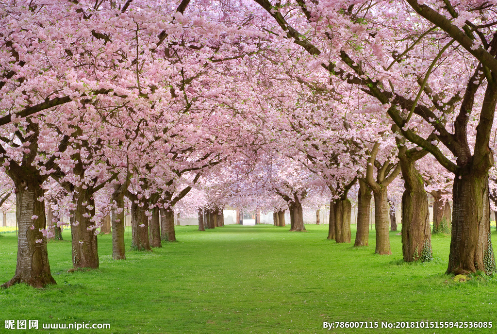 揭露*体娃实**娃行业*规则潜**