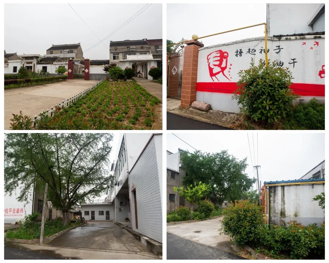 “九九中沟”，见证西江村的“久久”幸福——美不美？