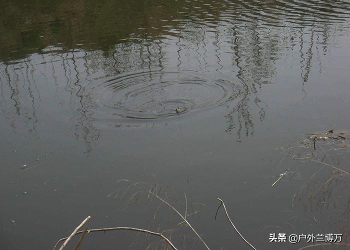 不会钓鱼怎么逮鱼,如何找到鱼窝和钓位