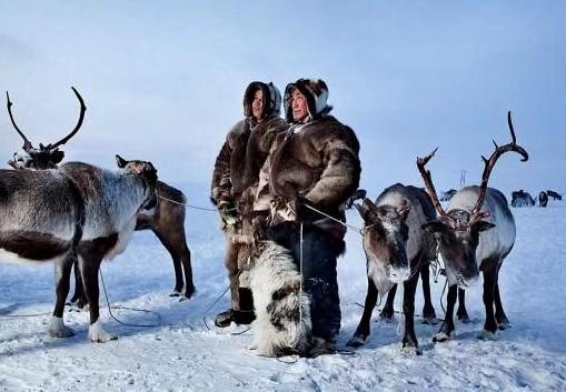 爱斯基摩人是一夫一妻制吗,爱斯基摩人的原始生活方式