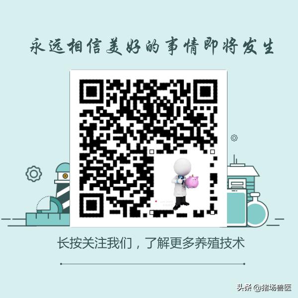 母猪难产超12小时最快解决办法,母猪产仔慢有什么办法吗