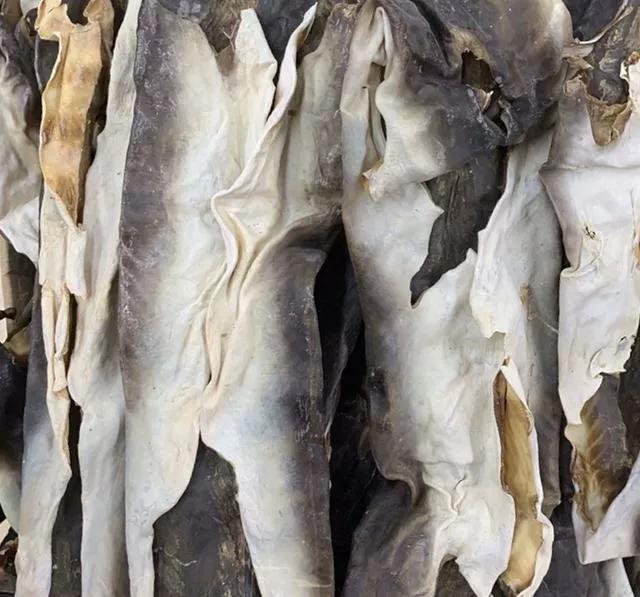 海产干货的种类图片及名称大全,干货海产品种图片及名称