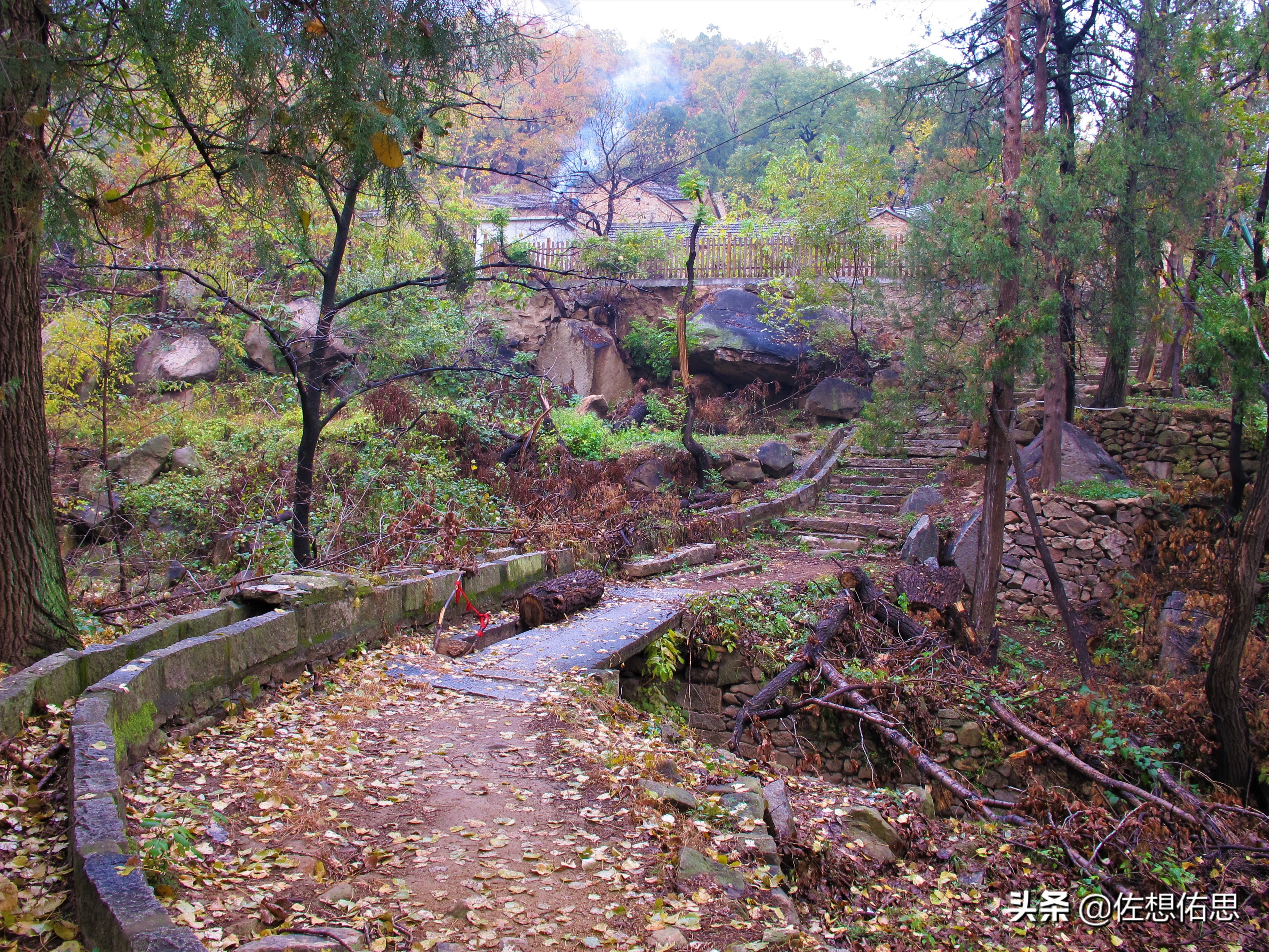 扇子崖优惠,泰安扇子崖免门票吗