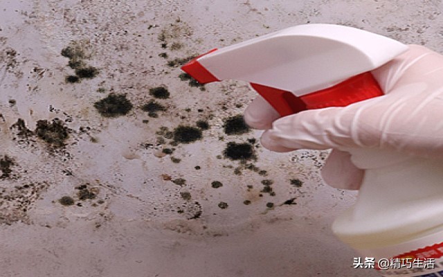 南方怎样防潮防霉妙招,怎么防潮去霉