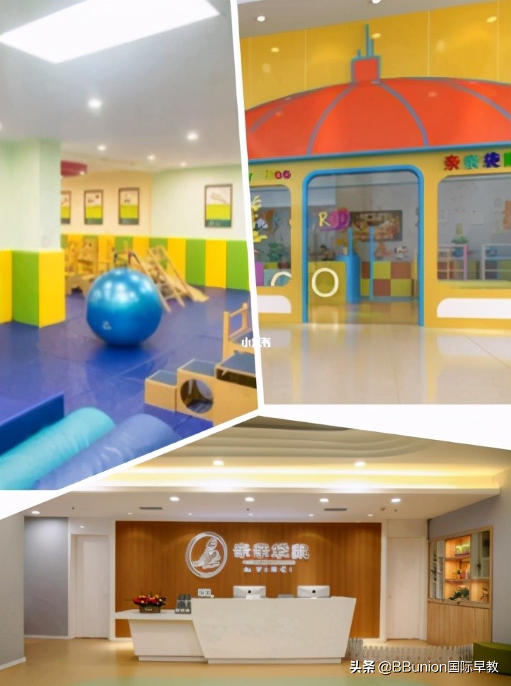 托育早教十大品牌,早教书籍排行榜第一名