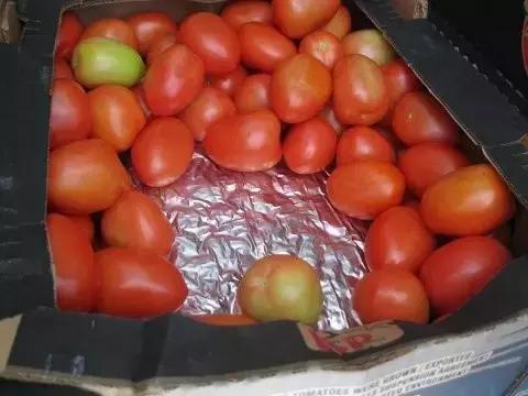 大鱼油胶囊的功效与作用,吃大鱼油胶囊有什么好处