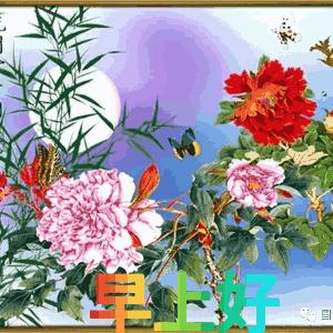 我把幸福送给你,11月快乐我把祝福送给你高清图片