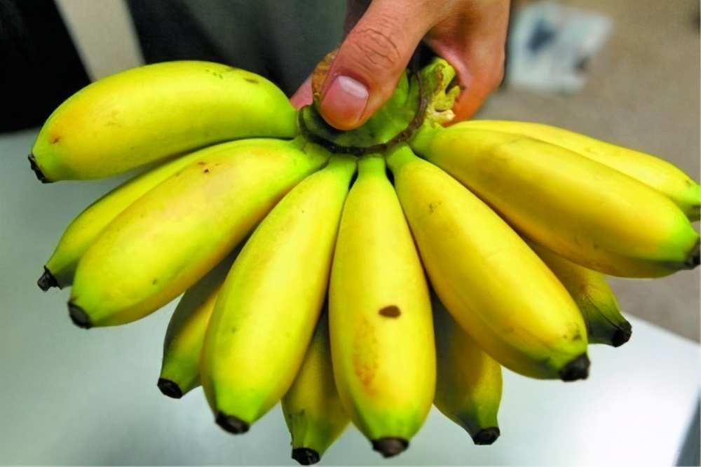 减脂期富含膳食纤维的水果有哪些,高膳食纤维水果会瘦吗