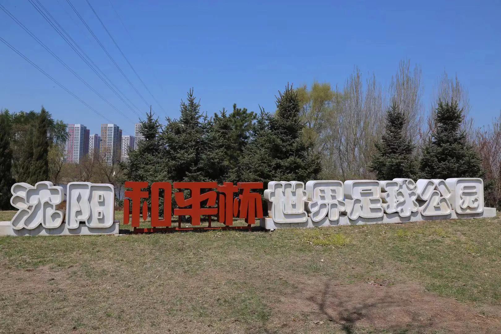 辽宁足球运动员庄毅,庄毅进球集锦