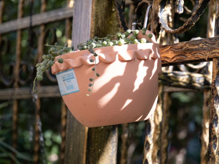 松下g95能拍什么视频,松下g95拍视频配什么镜头