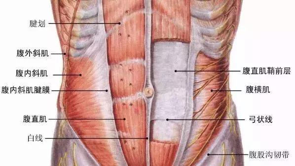 泰国网红花巨资整容30次,泰国网红花费百万整容
