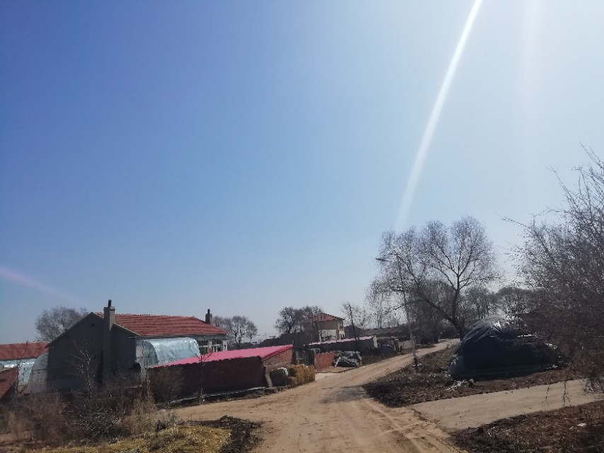 哥妹情缘背后的故事,哥妹情缘背后故事