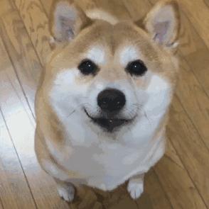 你必须知道的三个宇宙法则,你必须知道的基本法则