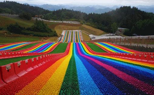 双流空港花田十月份有什么活动,双流空港花田赏花