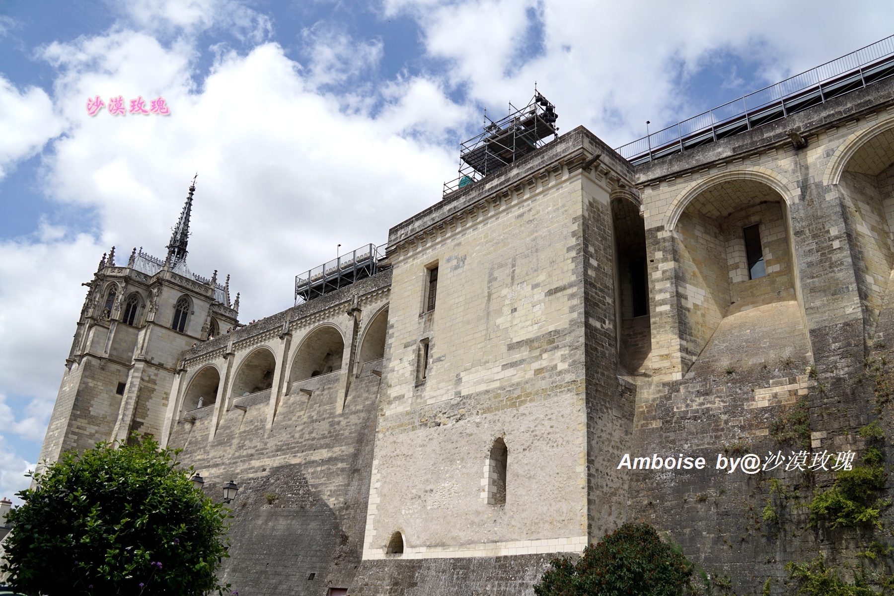法国卢浮宫纪念达芬奇,达芬奇与法国国王
