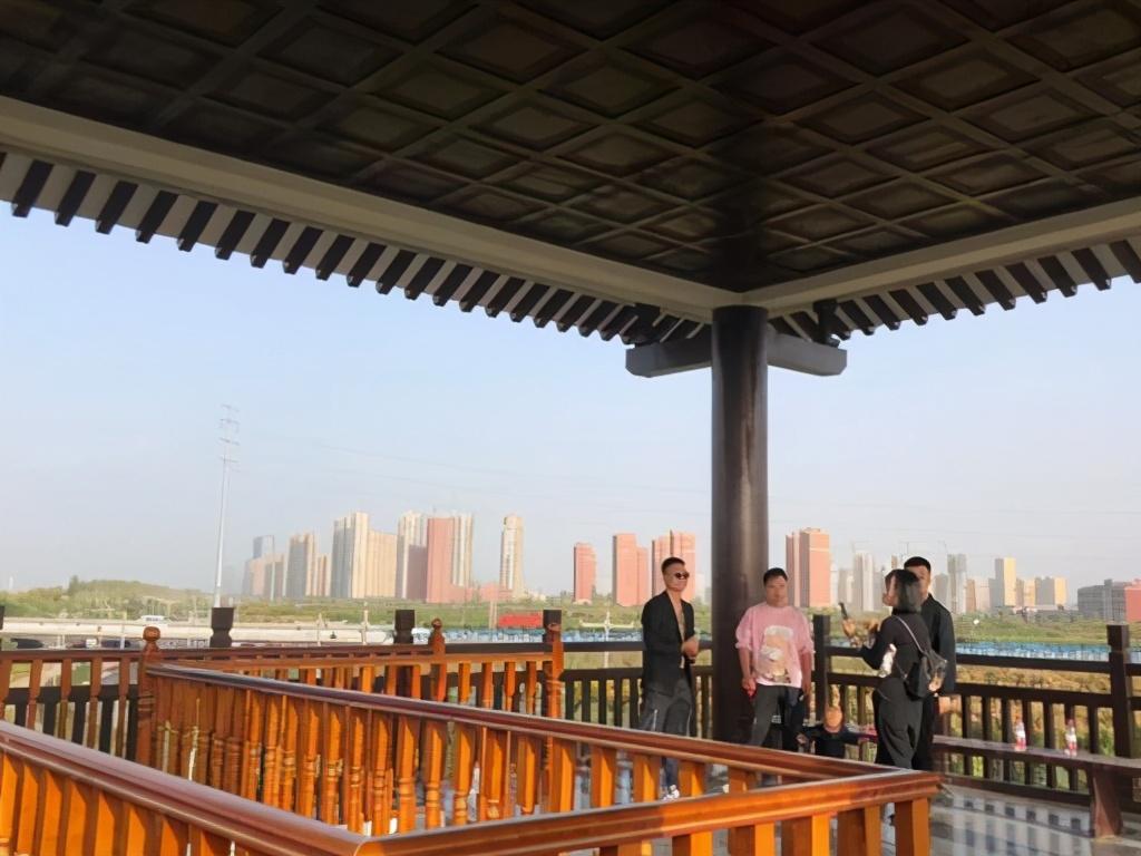 洛阳粉色花海,洛阳近郊惊现绝美花海