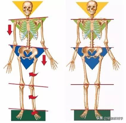 瑜伽金刚跪脚背疼怎么办,瑜伽金刚跪有什么好处