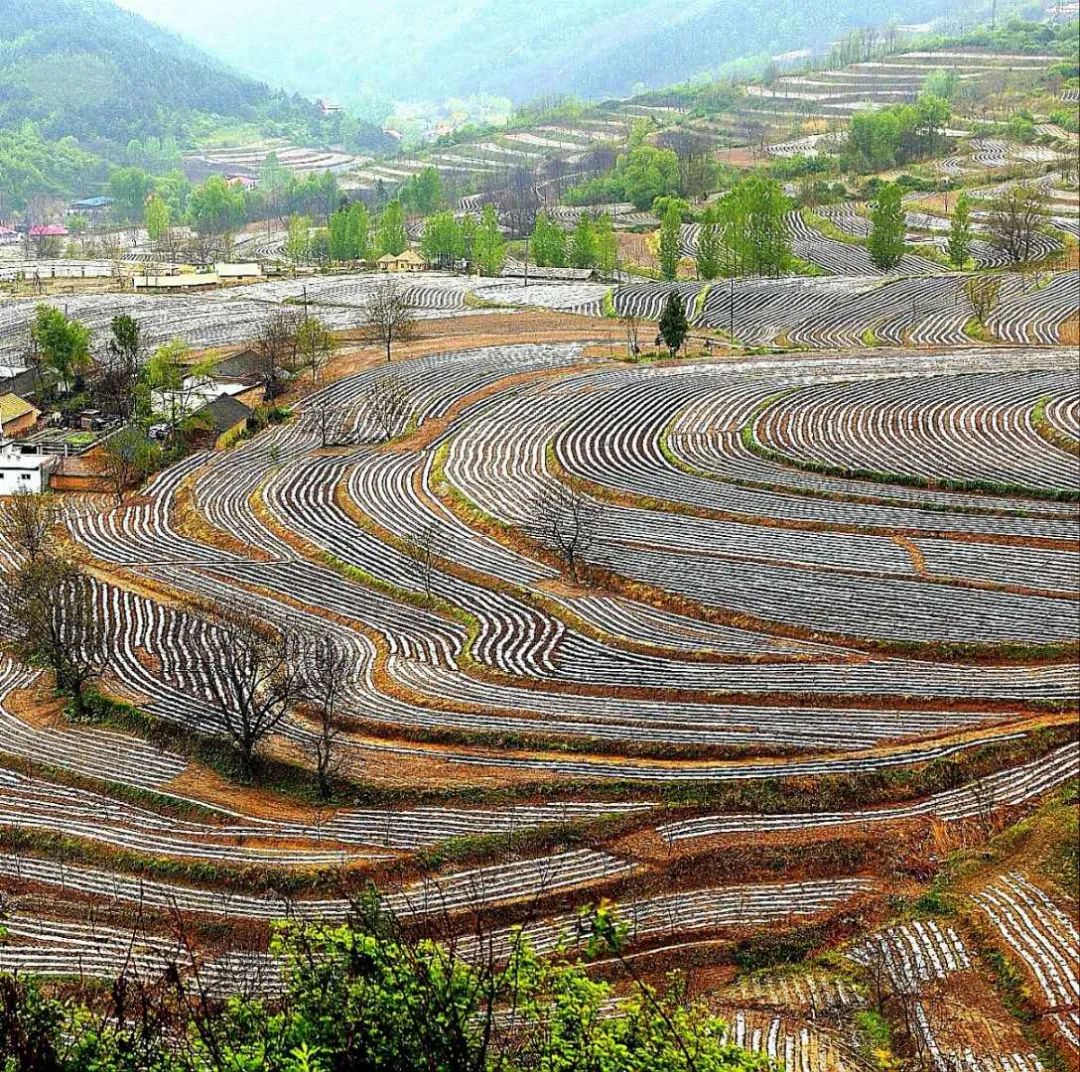 被称为上帝的指纹的图形,上帝的指纹景区