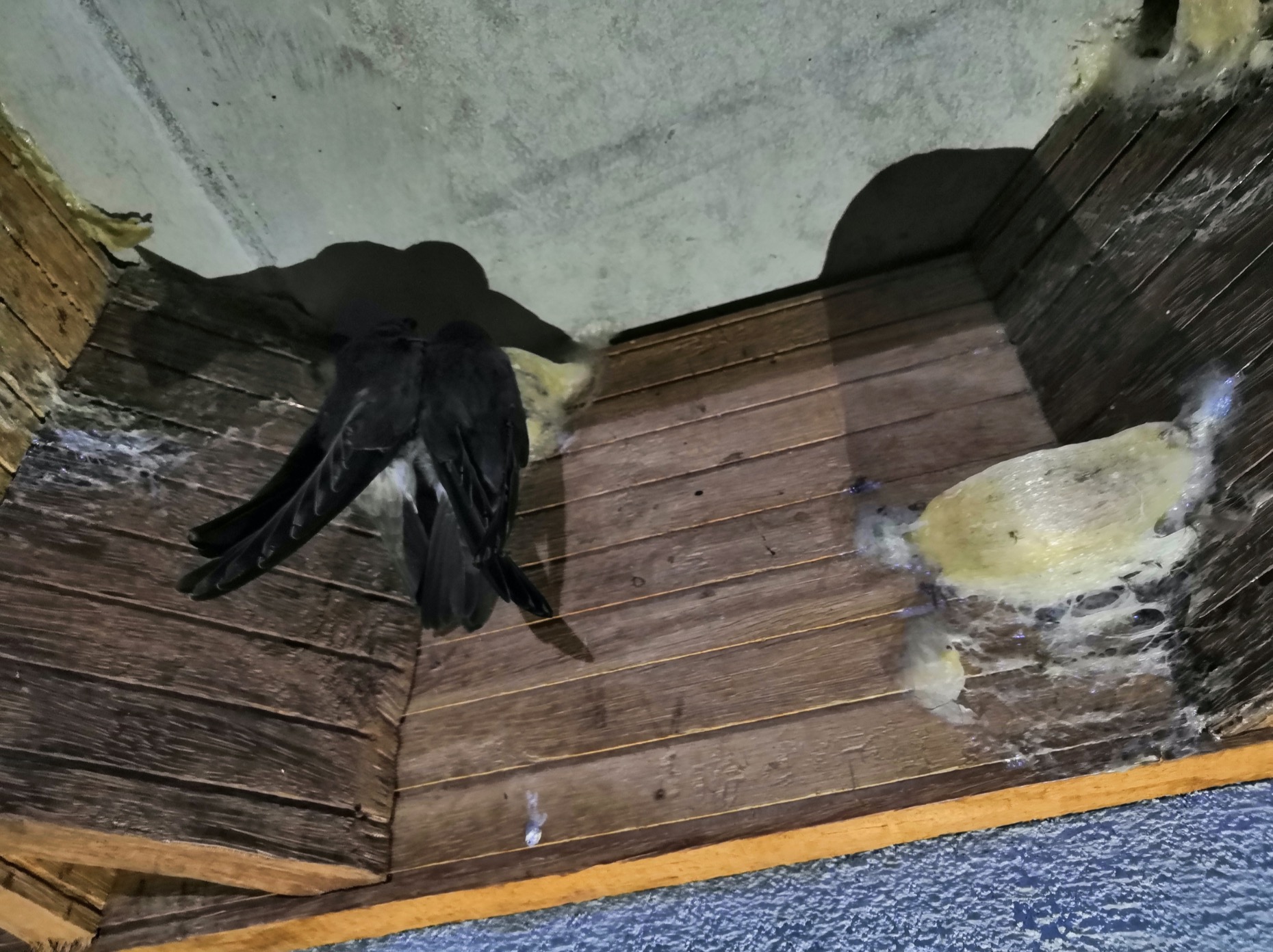 老婆怀孕了我在外地没人照顾,老婆怀孕我去外地出差