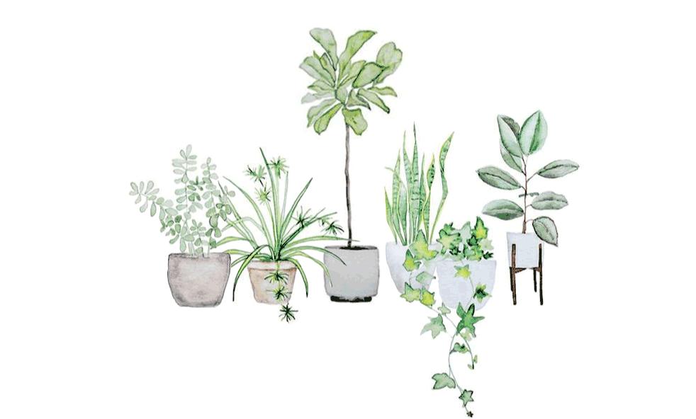 好看到爆的客厅背景墙,这几款卧室背景墙真的惊艳到我了