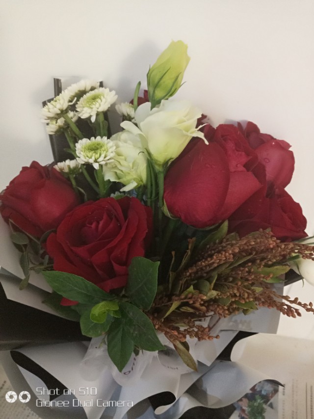 母亲节一束康乃馨,母亲节里的康乃馨图片