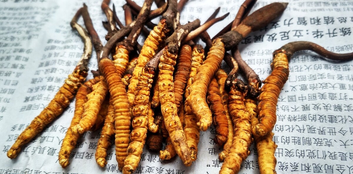 有哪些昆虫很常见但人们都不知道,除了蚂蚱你还知道哪些昆虫