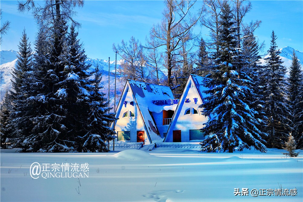 诗与远方：冬游喀纳斯