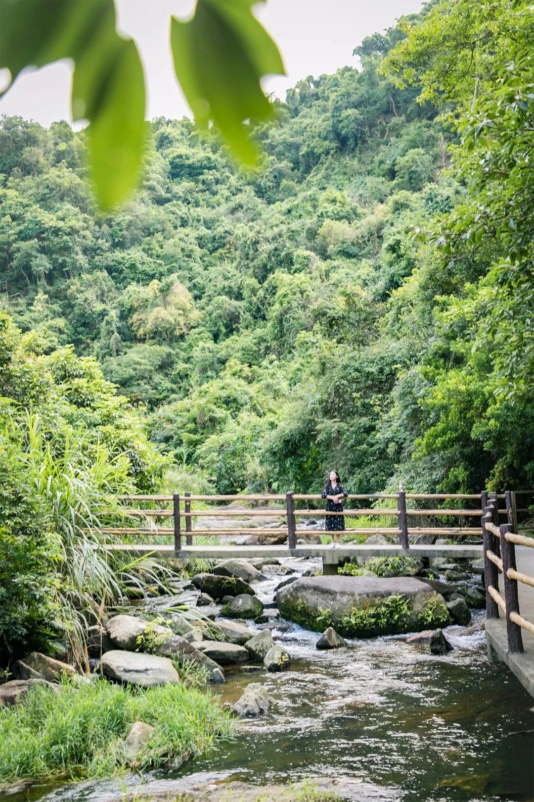 放假在深圳能去哪里玩,放假了可以去深圳的哪些地方玩