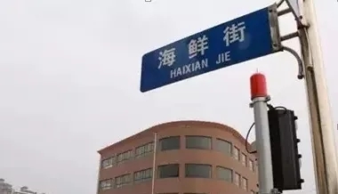 向往的大外|带你一起看大外