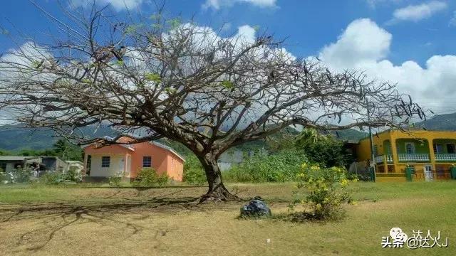 世界地图找不到的小国家,世界地图加勒比群岛